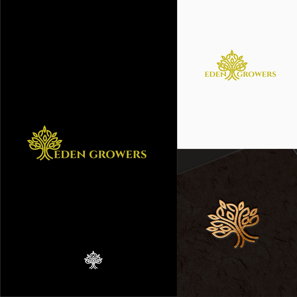 Logo Design by gray mind for this project | Design #29011165