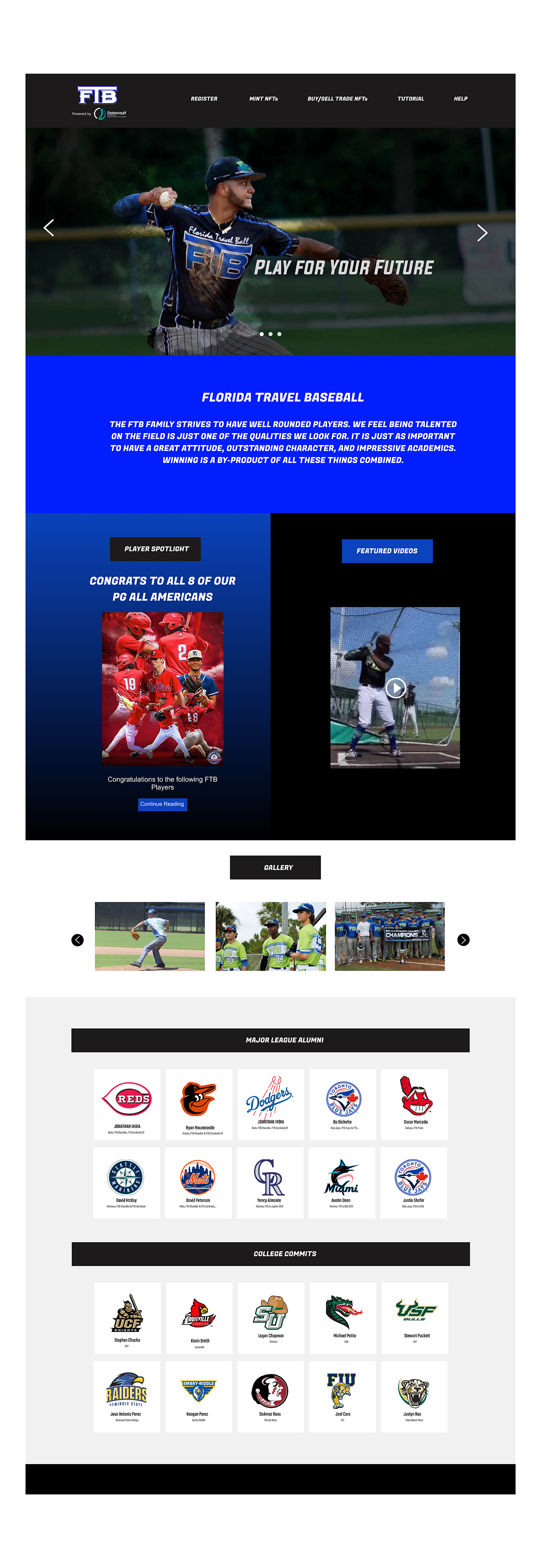 Web Design by DeriMH for Angry Apples Marketing | Design #29012686