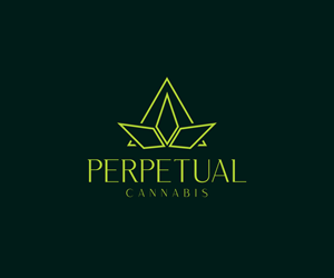 Logo Design by Ansh Design for this project | Design: #29009359