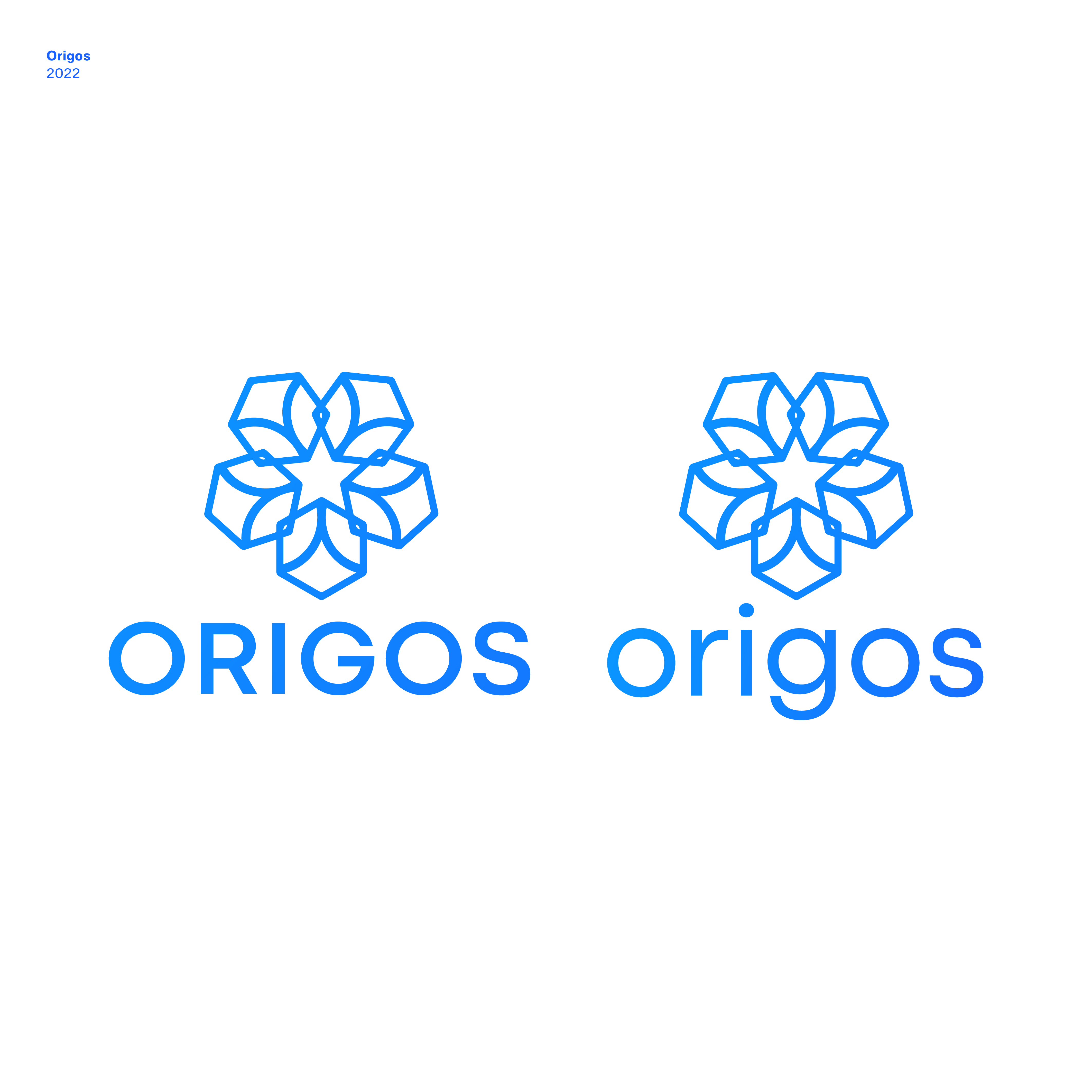 Logo Design by JBalloon Design for this project | Design #29011307