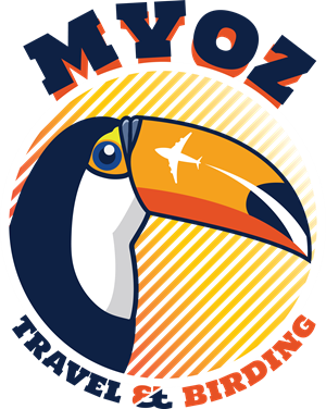 Diseño de Logo por Marco.myl para este proyecto | Diseño: #29043257