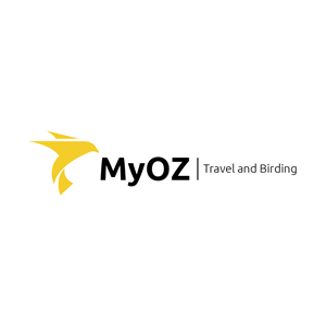Logo Design by Onse Officials