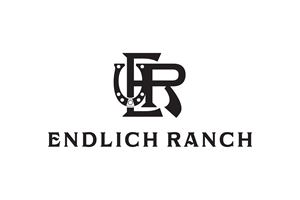 Logo Design by Viller