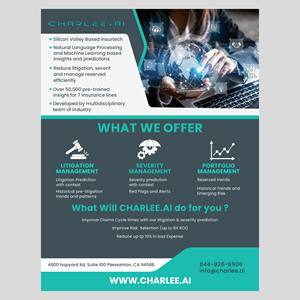 Flyer Design by Pegasus
