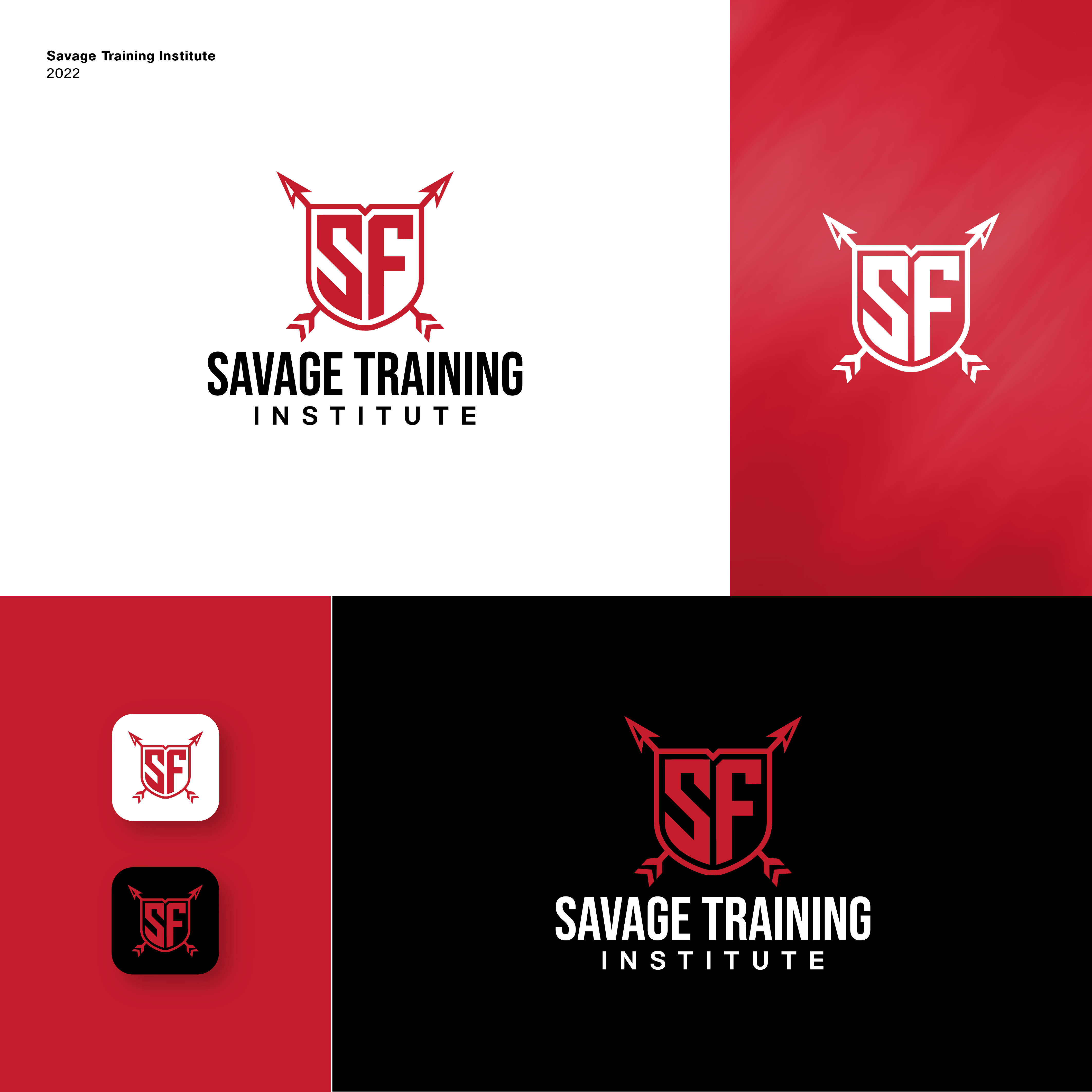 Diseño de Logo por JBalloon Design para este proyecto | Diseño #29033657