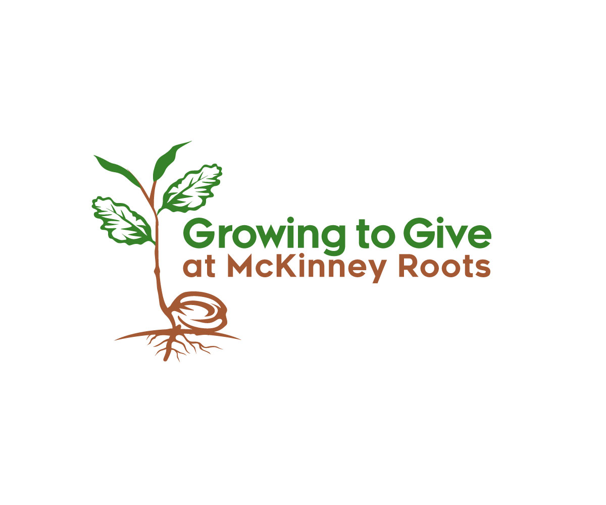 Logo Design by Ansh Design for this project | Design #29027773