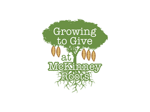 Logo Design by BNdesigner for this project | Design: #29038841