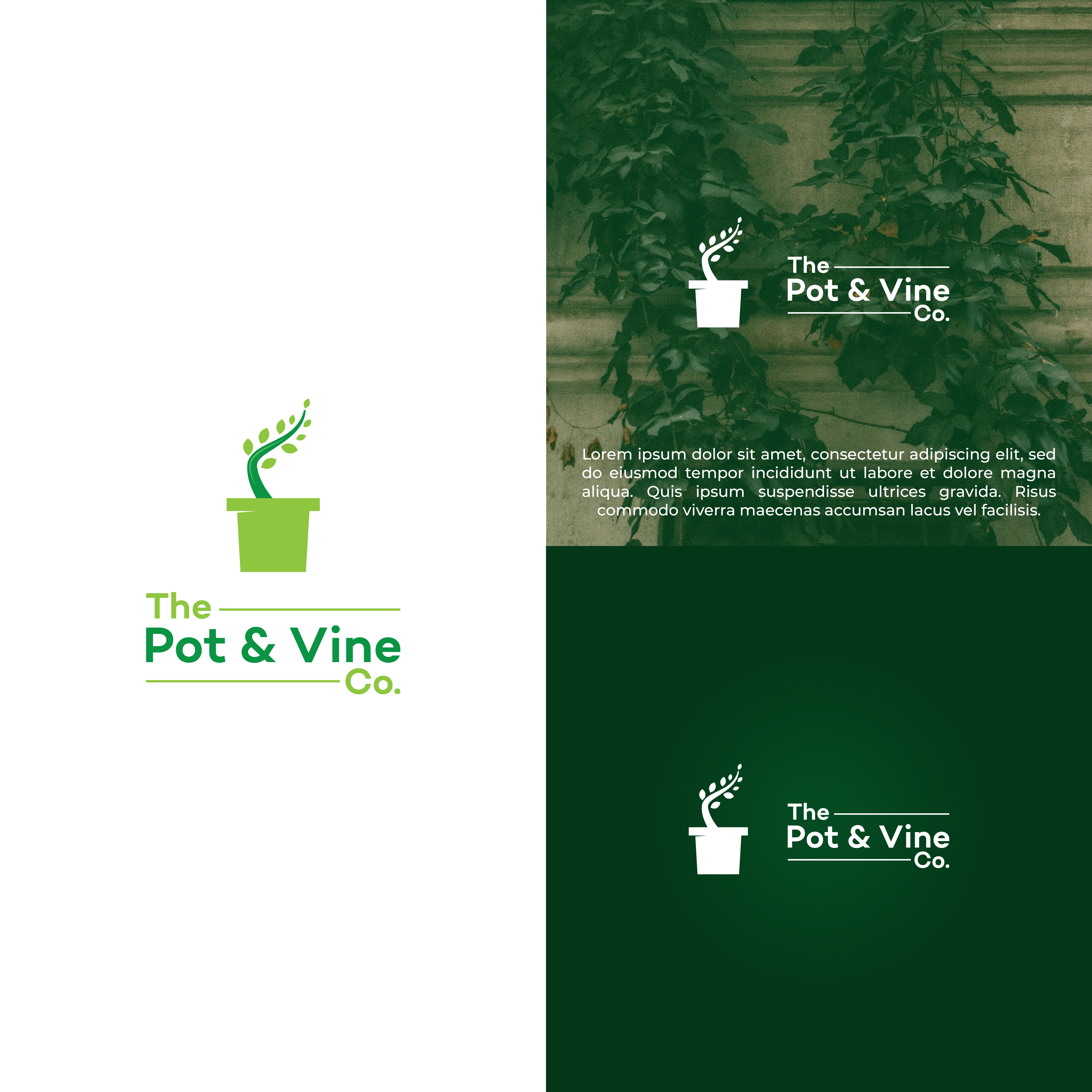 Logo Design by vramar.roy for this project | Design #29032502