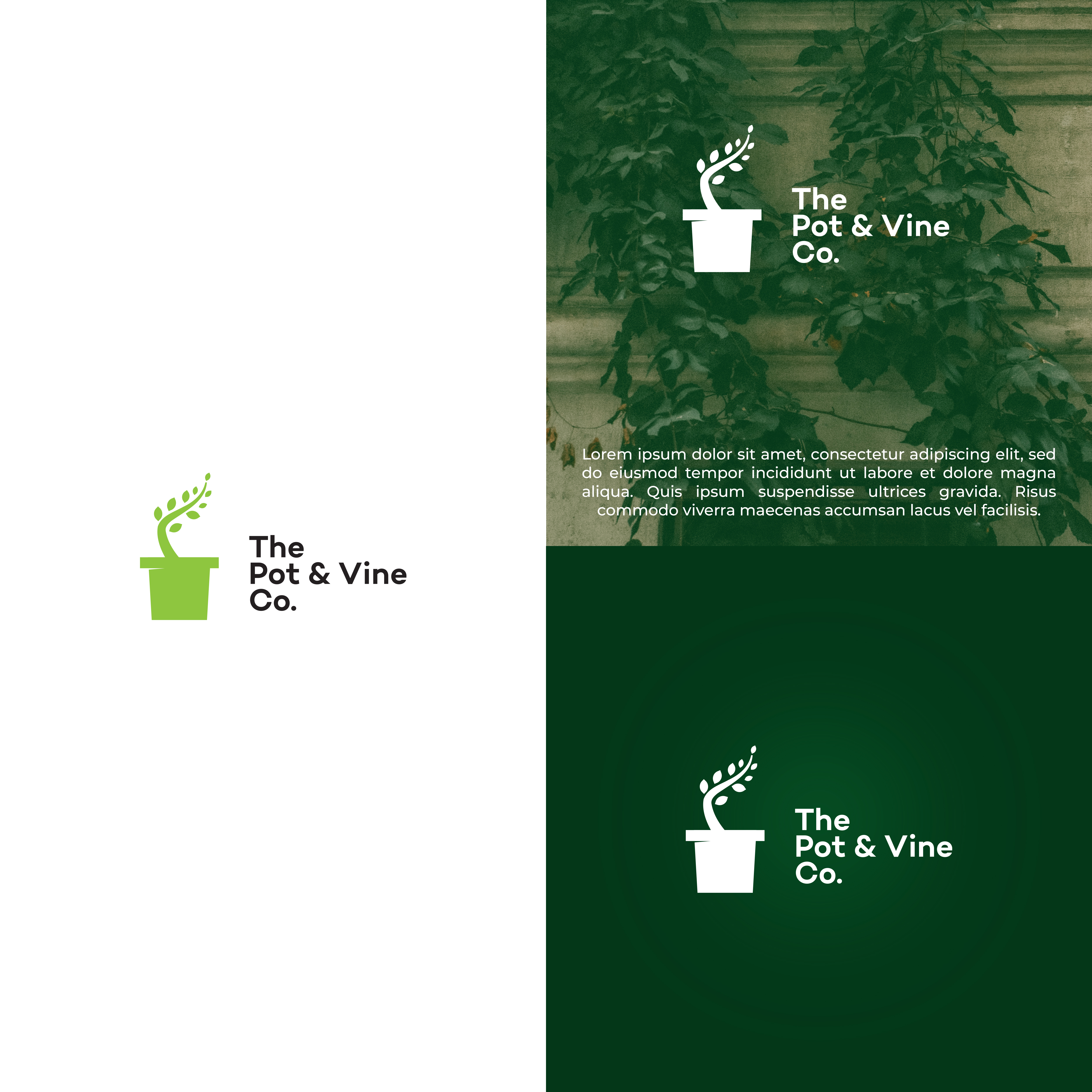 Logo-Design von vramar.roy für dieses Projekt | Design #29032540