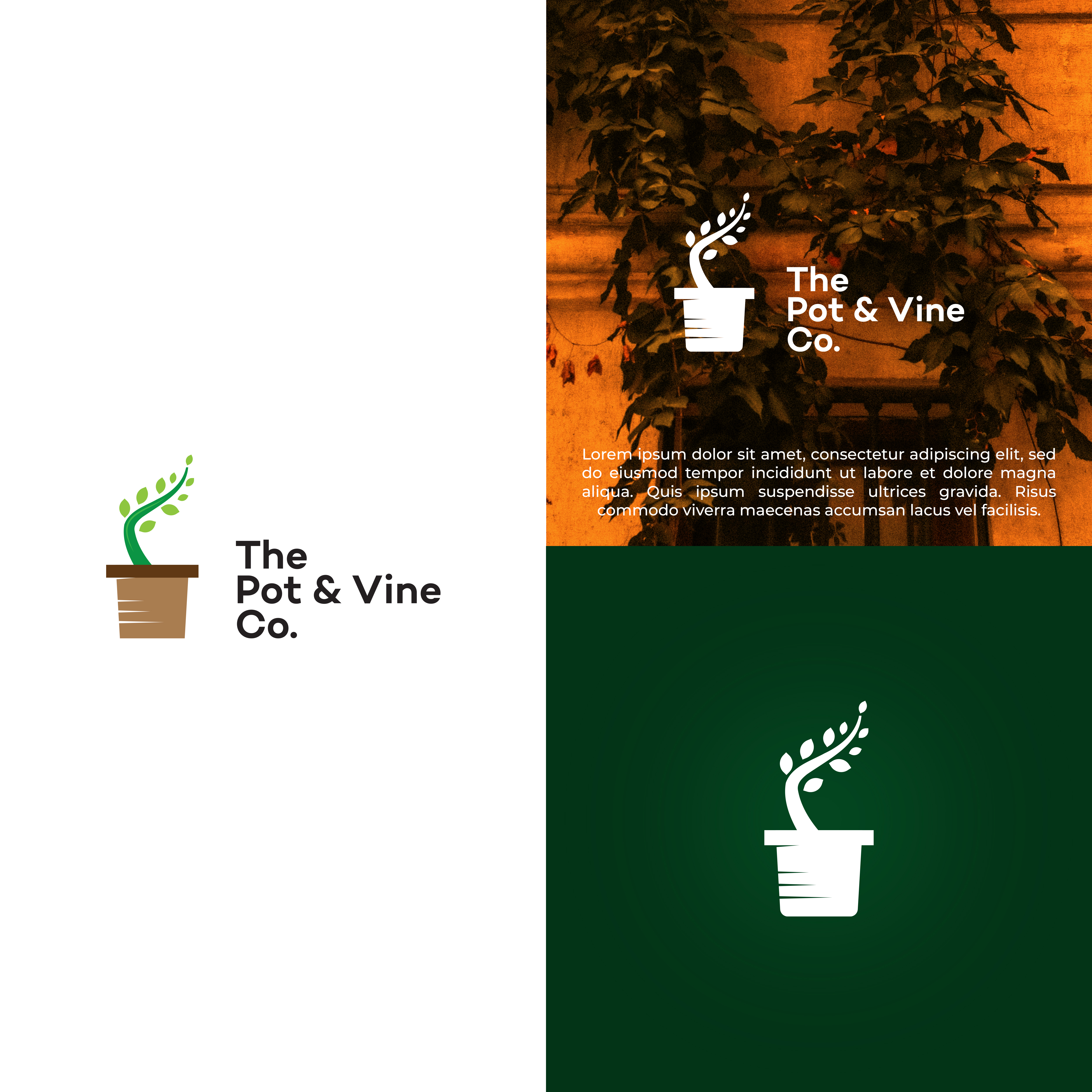 Logo Design by vramar.roy for this project | Design #29032887