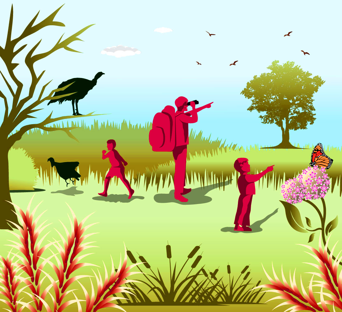 Illustration Design by Wonderful design for this project | Design #29033538