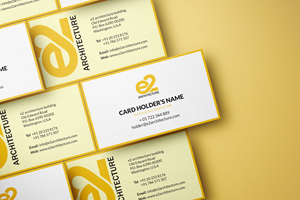 Business Card Design by faizanzh for E2 Architecture | Design: #29057936