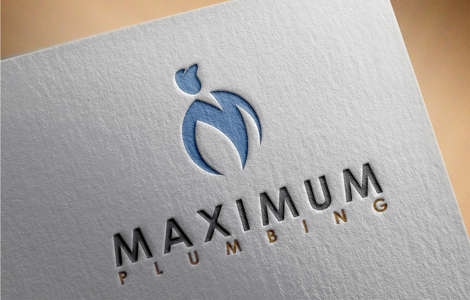 Logo Design by Peak design for this project | Design #29036955