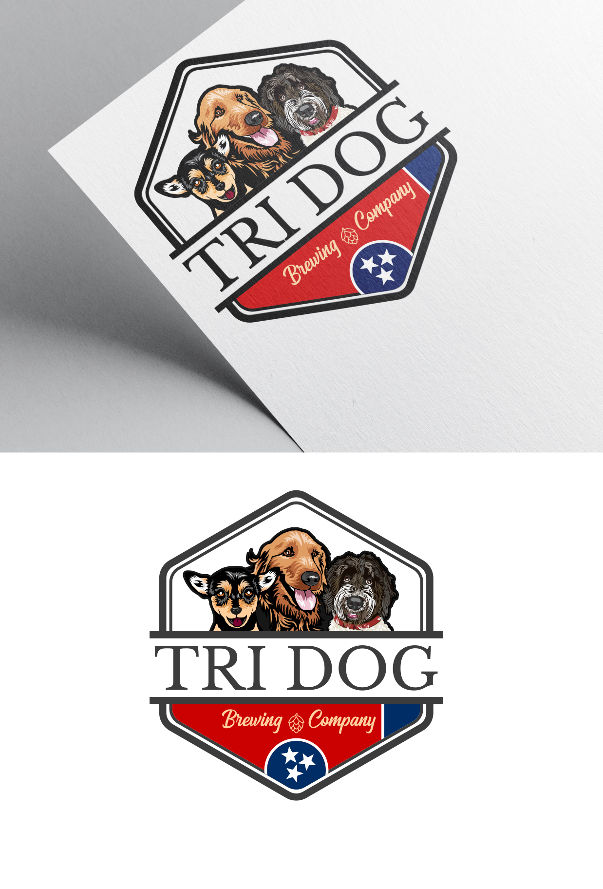 Logo Design by DesigNooox for DGB LLC | Design #29098347