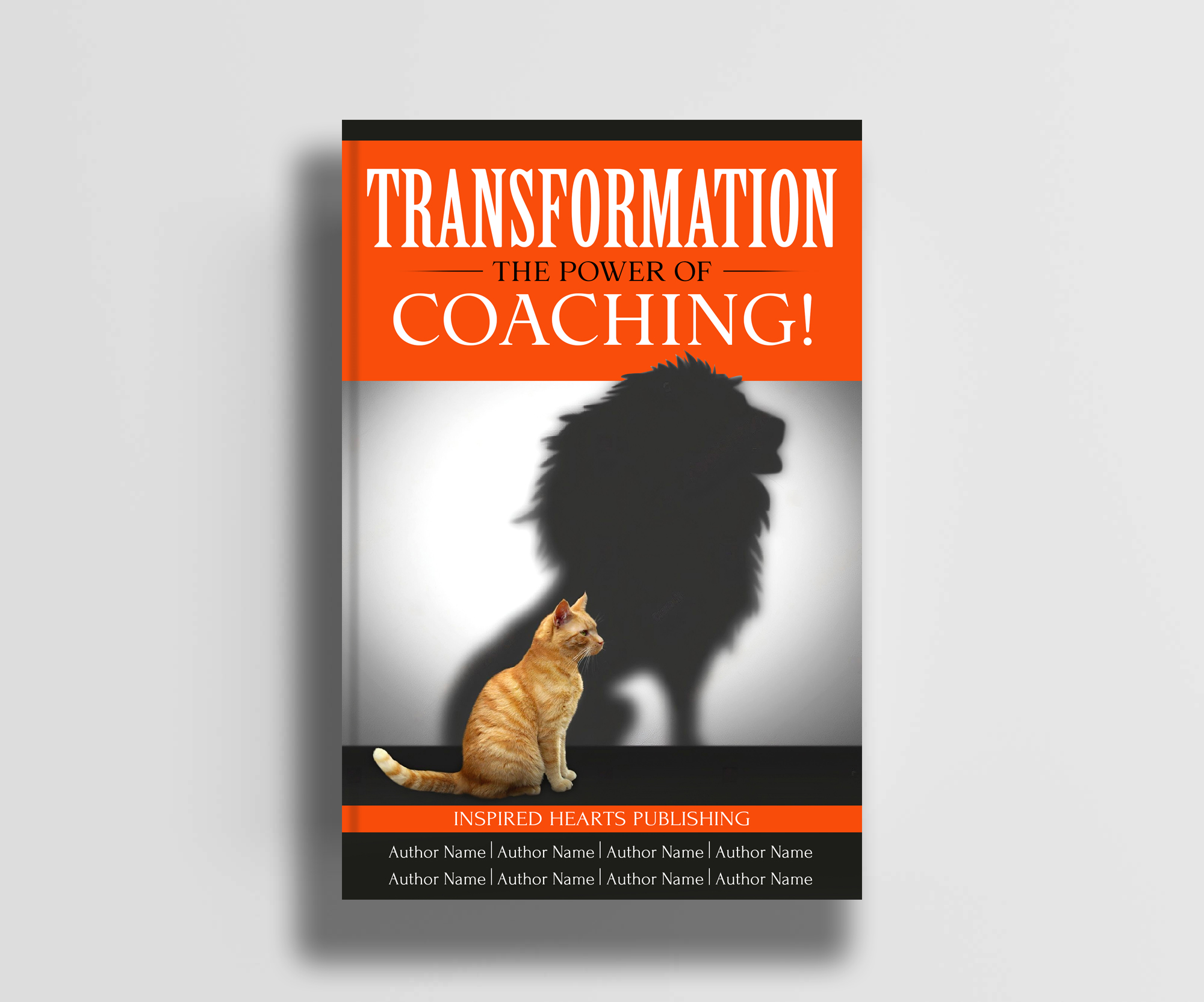 Book Cover Design by designersaumya 2 for this project | Design #29042495