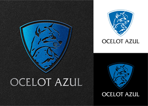 Logo Design by erikdesign