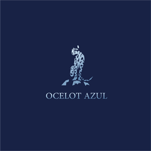 Logo Design by ThiagoB for this project | Design: #29052865
