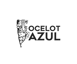 Logo Design by Ansh Design for this project | Design: #29045621