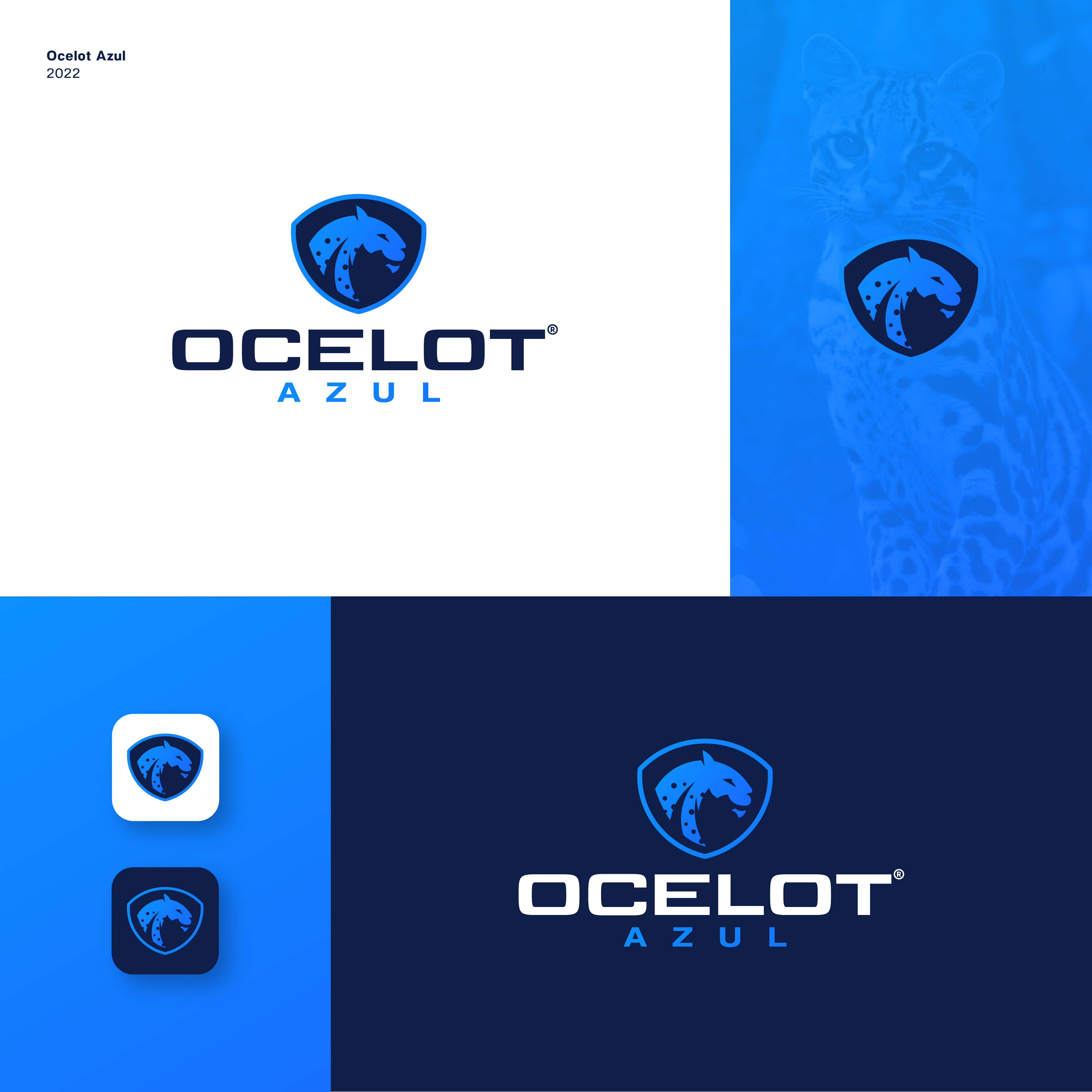 Logo Design by JBalloon Design for this project | Design #29069220