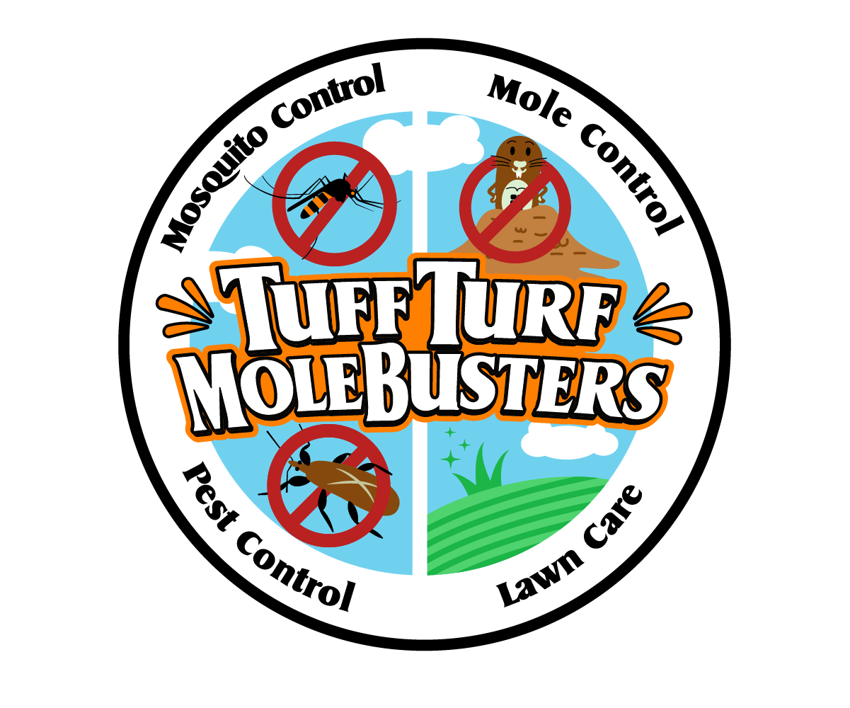 Playful, Colorful, Lawn Care and Pest Control Logo Design for Mosquito ...