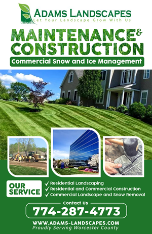 Flyer Design by Anhar for Adams Landscapes, LLC | Design #29047992