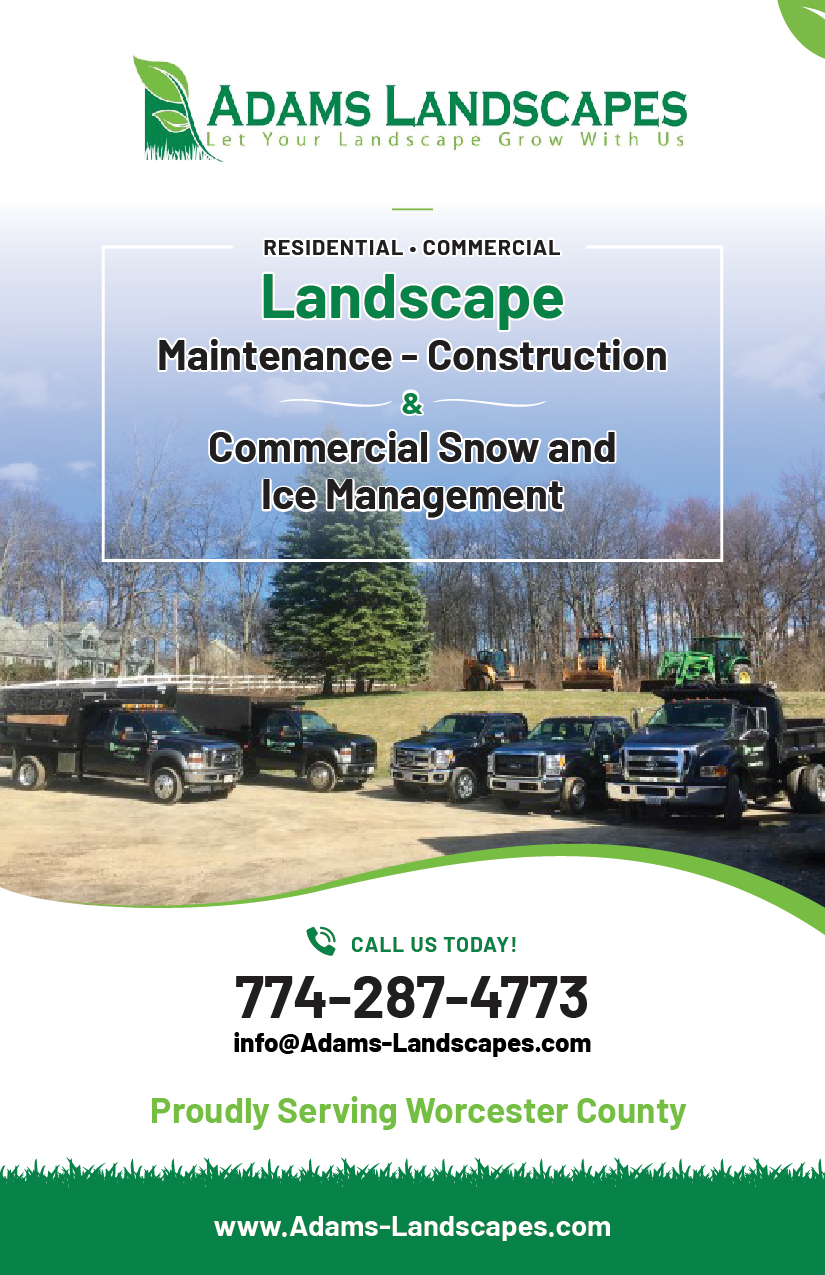 Flyer Design by Mikai!13 for Adams Landscapes, LLC | Design #29049432
