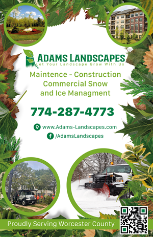 Flyer Design by Vyacheslav65 for Adams Landscapes, LLC | Design: #29041978