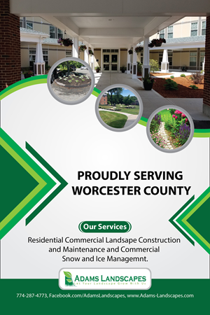 Flyer Design by Max Studio Designs