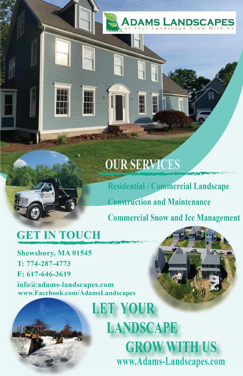 Flyer Design by Kuntal Kundu for Adams Landscapes, LLC | Design #29055886