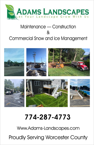 Flyer Design by kapil230287 for Adams Landscapes, LLC | Design: #29047046