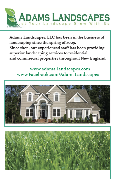 Flyer Design by Dina K for Adams Landscapes, LLC | Design #29044380