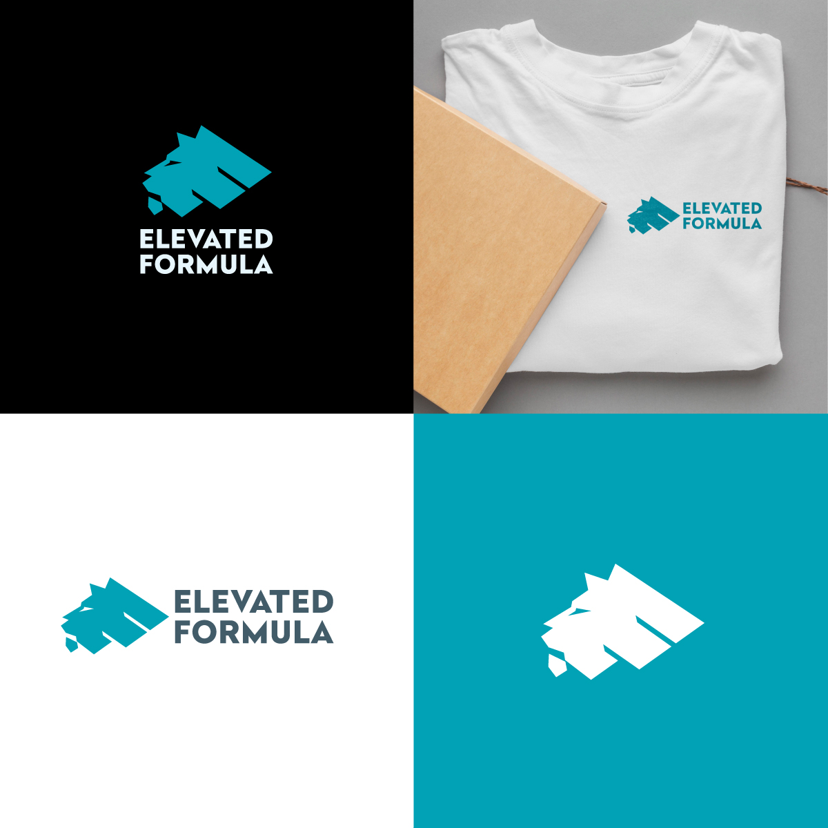Diseño de Logo por anonrotide para este proyecto | Diseño #29469311