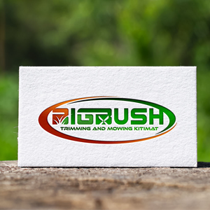 Logo Design by nzdesigners for this project | Design #29051994