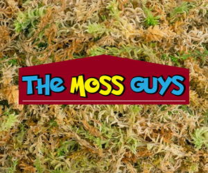 Logo Design by ninja design art for this project | Design: #29048668