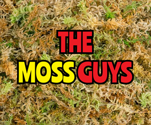 Logo Design by ninja design art for this project | Design: #29048763