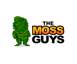 Logo Design by Ansh Design for this project | Design: #29118572