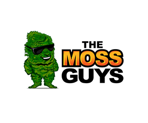 Logo Design by Ansh Design for this project | Design: #29118690