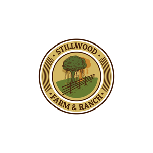 Logo Design by Jerwin Intac