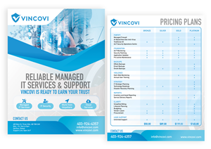 Service Plans and Offerings - One Page | Flyer-Design von grld