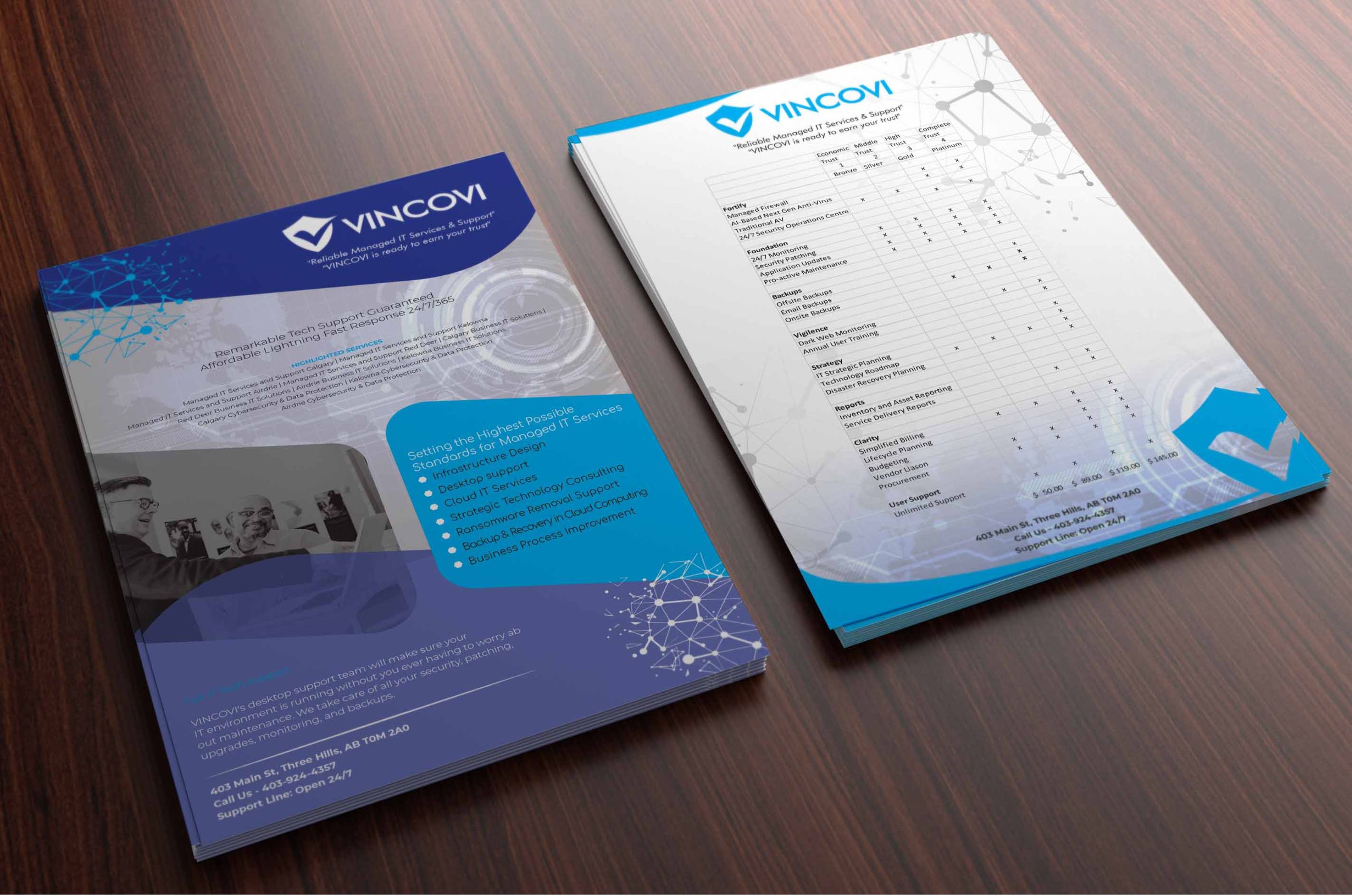 Flyer Design by 3Guys for VINCOVI Technology Solutions Inc | Design #29076280