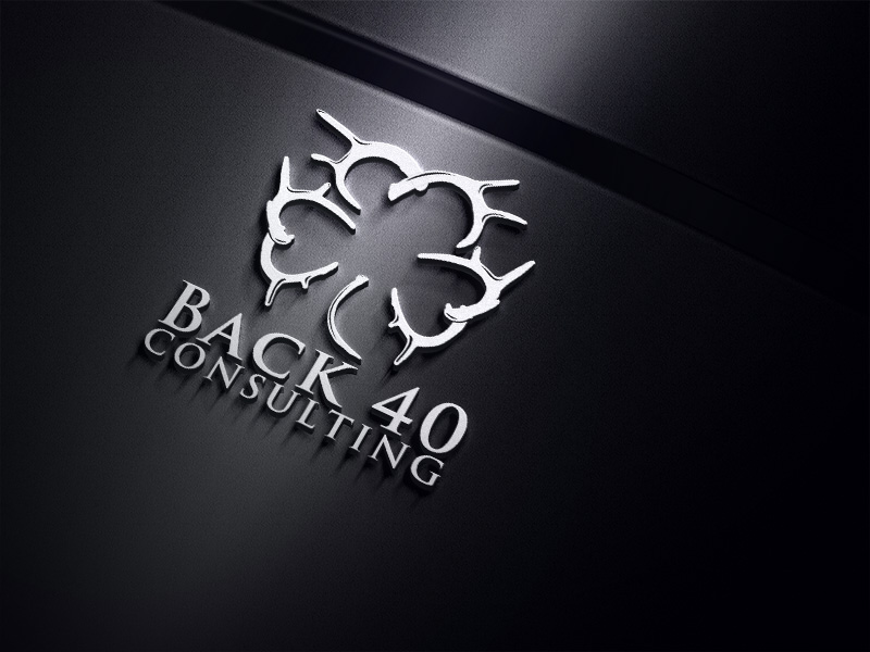Logo Design by Amelia... for Back 40 Consulting | Design: #29073906