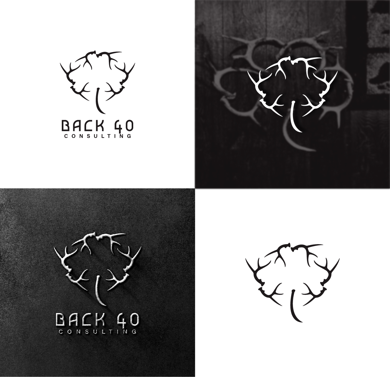 Logo Design by wegent editz for Back 40 Consulting | Design #29070314
