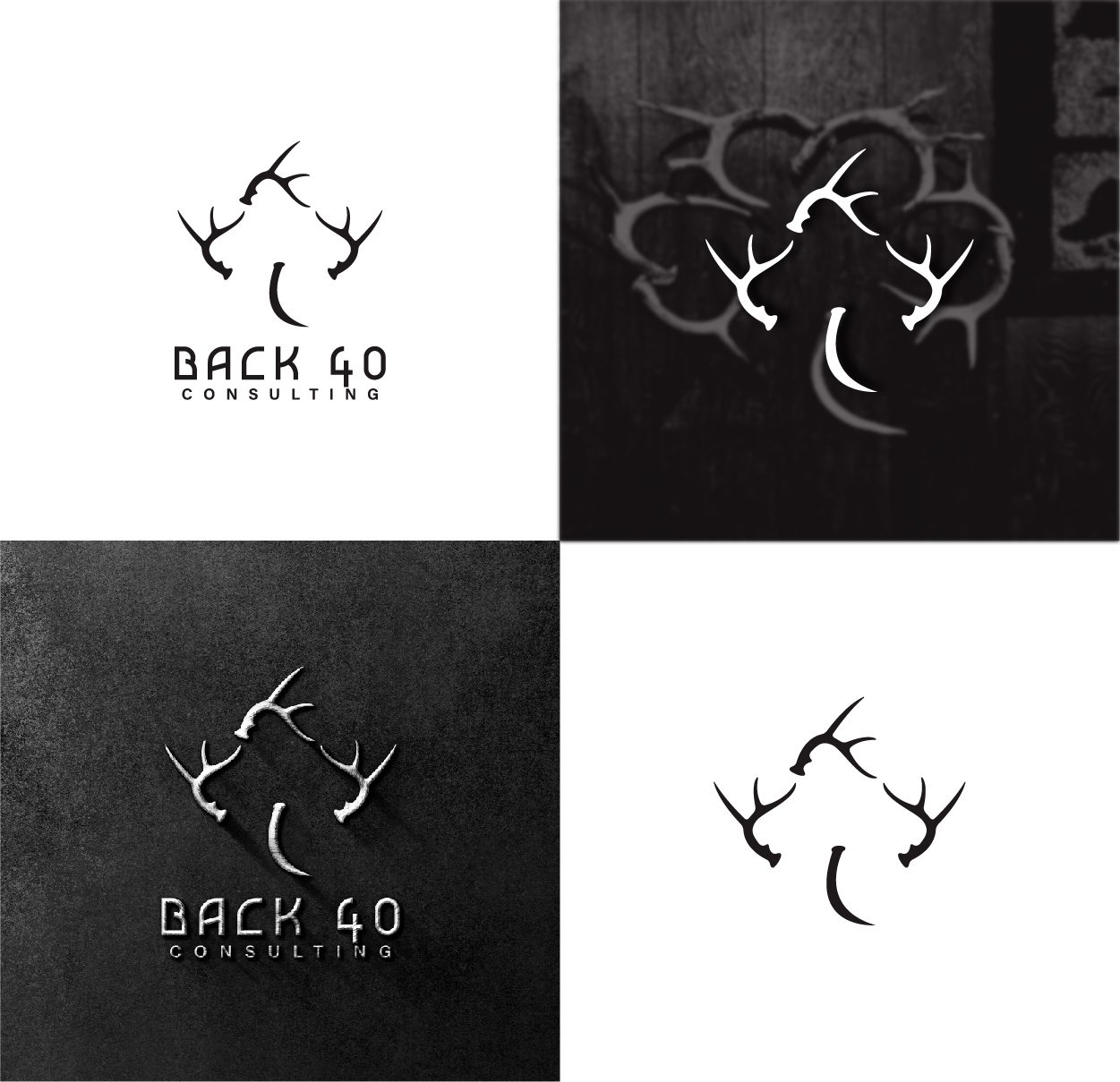 Logo Design by wegent editz for Back 40 Consulting | Design #29070317