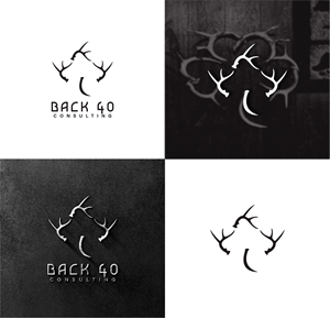 Logo Design by wegent editz for Back 40 Consulting | Design: #29070317