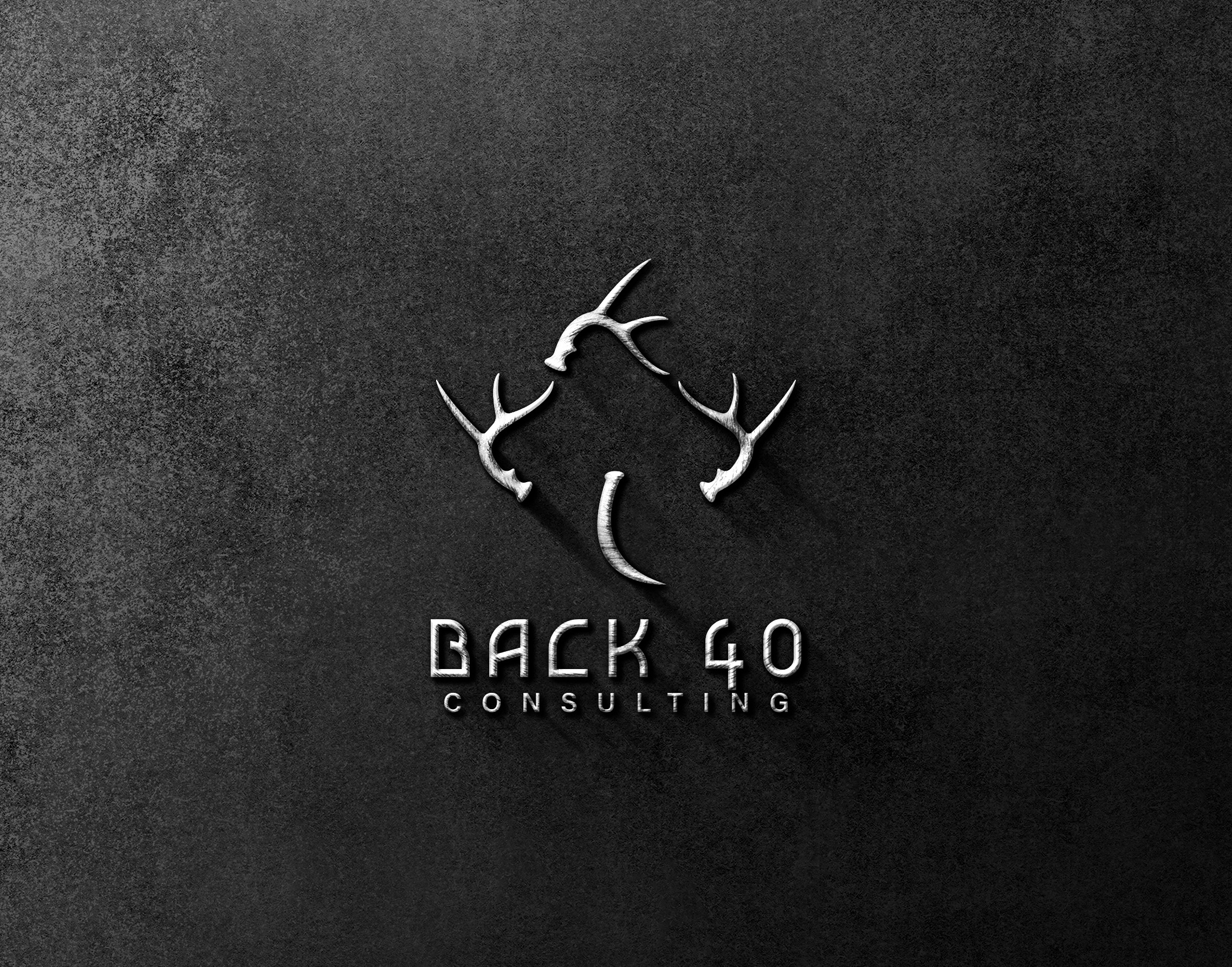 Logo Design by wegent editz for Back 40 Consulting | Design #29070320