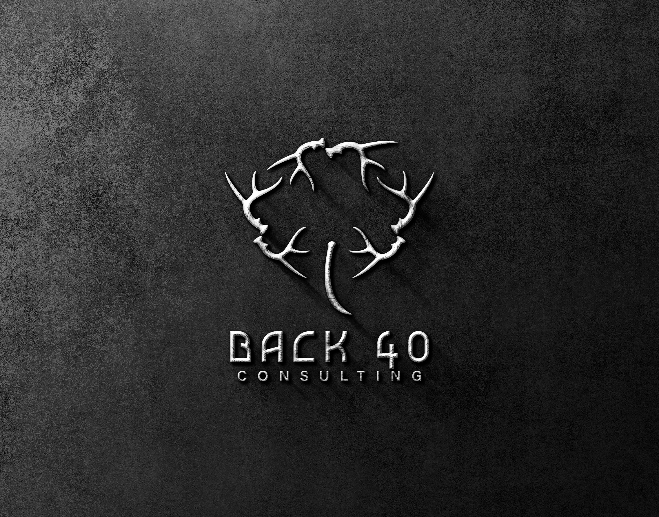 Logo Design by wegent editz for Back 40 Consulting | Design #29070322