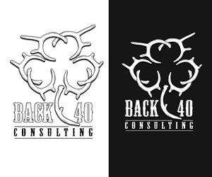 Logo Design by Paint-Tools for Back 40 Consulting | Design #29061850