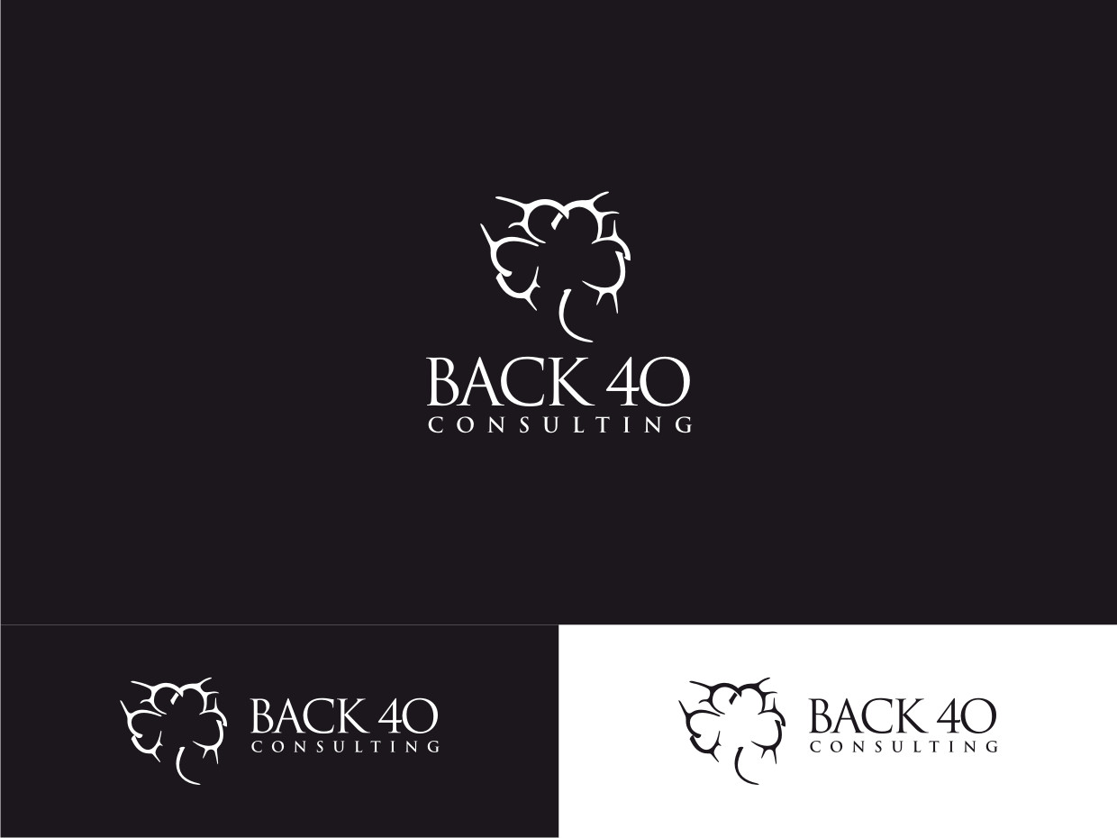Logo Design by Atvento Graphics for Back 40 Consulting | Design #29085937
