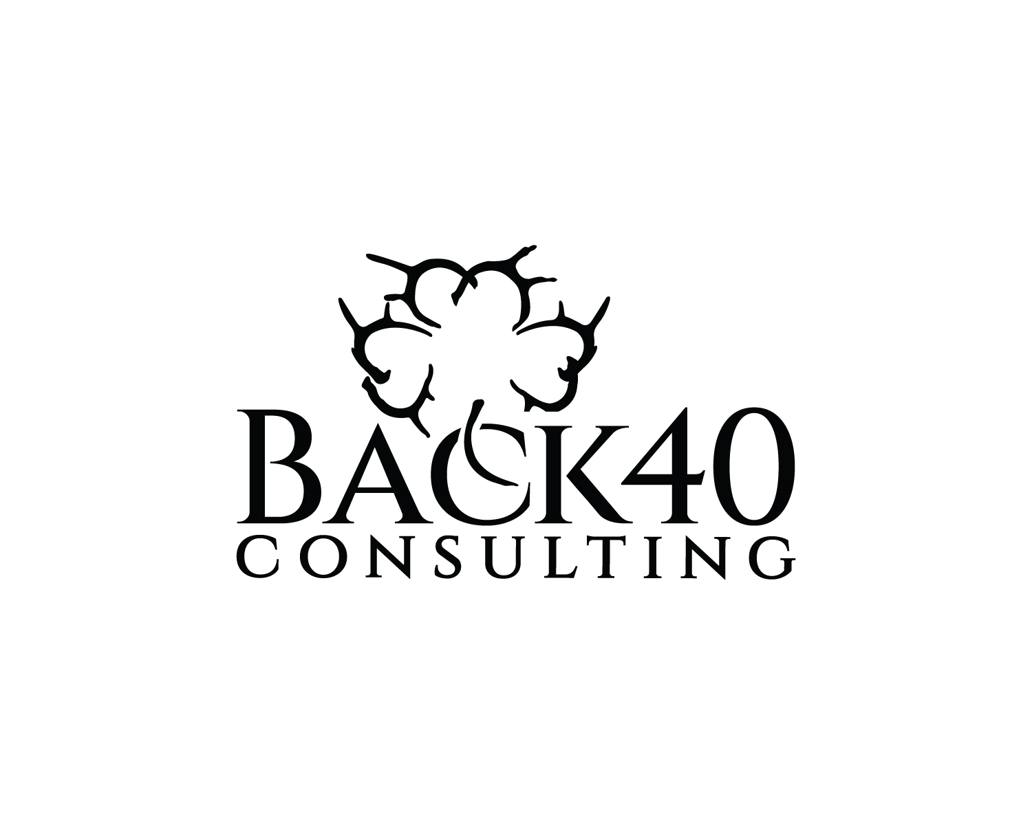 Logo Design by Atec for Back 40 Consulting | Design #29074960
