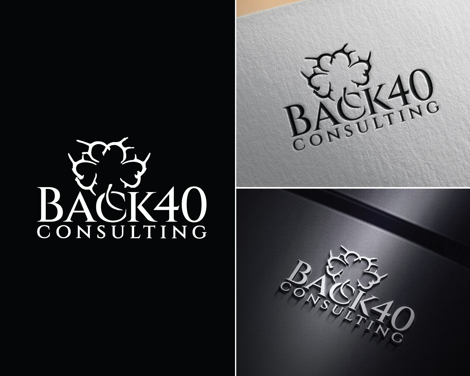 Logo Design by Atec for Back 40 Consulting | Design #29074961